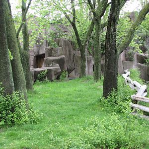 Malayan Tapir Exhibit