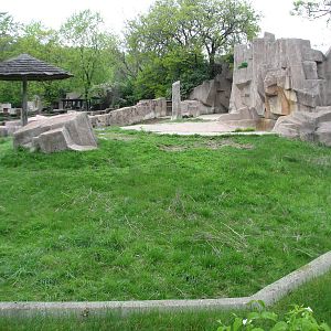 Black Rhinoceros Exhibit 2