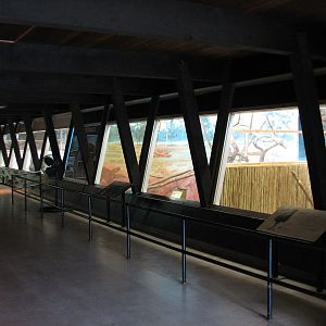 Animals of Australia - Building Interior