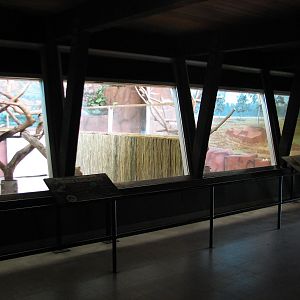 Animals of Australia - Emu and Matschies Tree Kangaroo Bedrooms