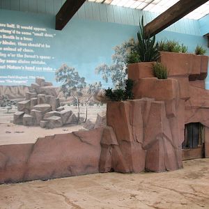 Animals of Australia - Red Kangaroo Bedroom