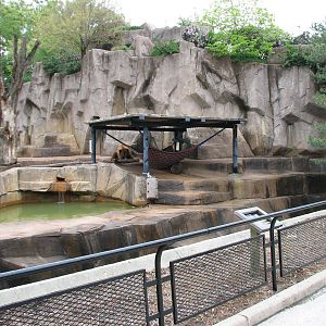 Brown Bear Exhibit