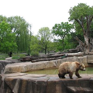 Brown Bear Exhibit with Moose, Mule Deer, and Wild Turkey Exhibit in backgr