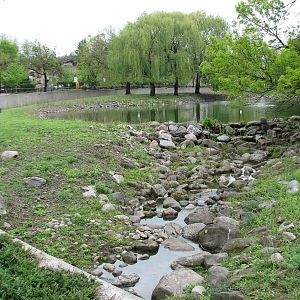 Moose, Mule Deer, and Wild Turkey Exhibit