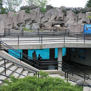 Harbor Seal Exhibit with Polar Bear Exhibit in background
