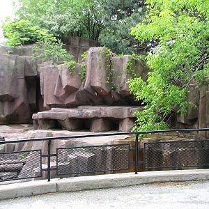 American Badger Exhibit