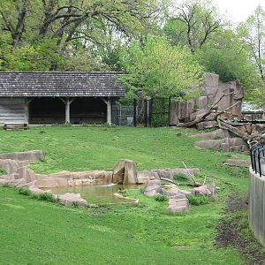Elk or Red Deer Exhibit
