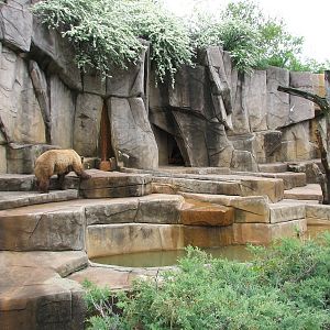 Grizzly Bear Exhibit