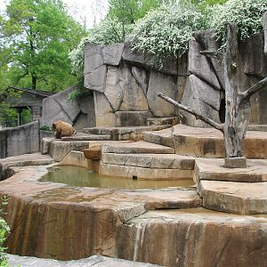 Grizzly Bear Exhibit