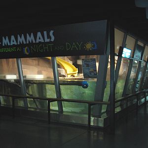 Small Mammals Building - North American River Otter Exhibit