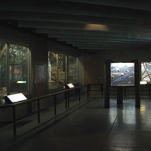 Small Mammals Building - Animals of the Day