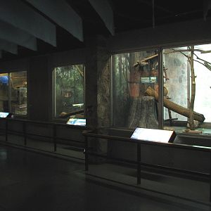 Small Mammals Building - Animals of the Day