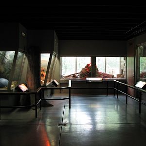 Small Mammals Building - Animals of the Day