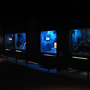 Small Mammals Building - Animals of the Night