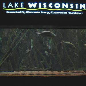 Aquatic and Reptile Center - Lake Wisconsin Exhibit
