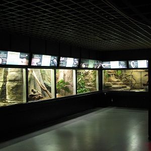 Aquatic and Reptile Center - Reptile Exhibits