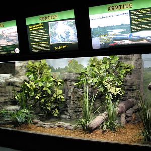Aquatic and Reptile Center - Green Anaconda and Green Crested Basilisk Exhi