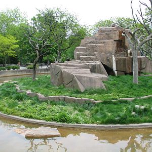 Japanese Macaque Exhibit