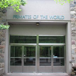Primates of the World - Entry