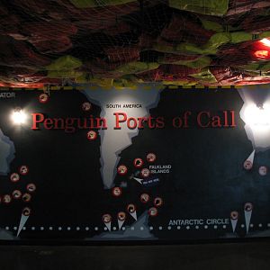 Aviary - Penguin Graphic