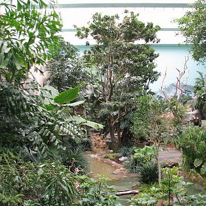 Aviary - Walkthrough Aviary