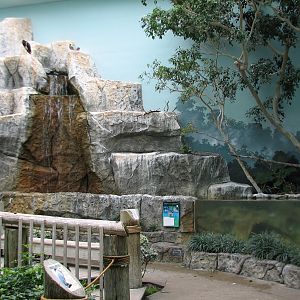 Aviary - Walkthrough Aviary