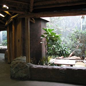 Aviary - Tropical Rain Forest Exhibits