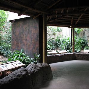 Aviary - Tropical Rain Forest Exhibits