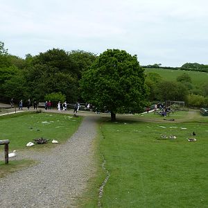 View Over the Park