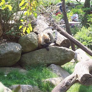 One, two, three...ready not here I come!