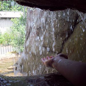 Inside Mystery Mountain