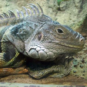 Wake up, Sleeping Beauty.