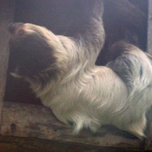 Thinking Outside the Box