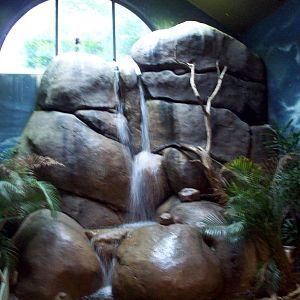 Waterfall in the Main Building