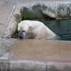 It's raining now? Now you tell me!