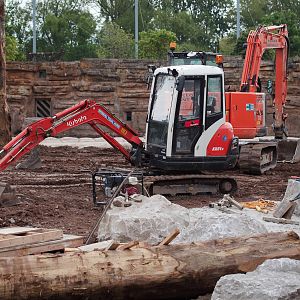 Elephant Paddock Renovations - 01/06/2010