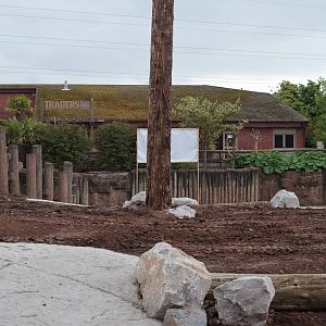 Elephant Paddock Renovations - 01/06/2010