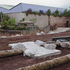 Elephant Paddock Renovations - 01/06/2010