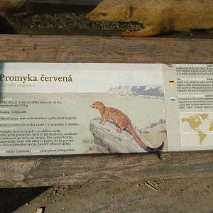 Signage example at Prague, 24/05/10