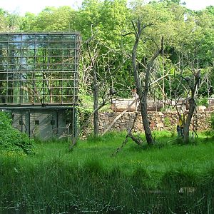 Lemur walkthrough at Prague, 24/05/10