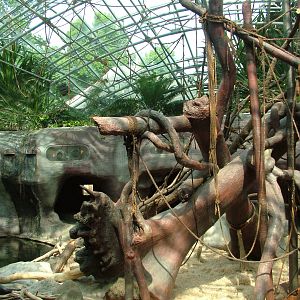 Indoor ape exhibit at Prague, 24/05/10