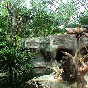 Indoor ape exhibit at Prague, 24/05/10