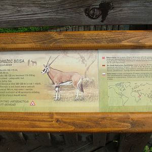 Signage example at Prague, 24/05/10