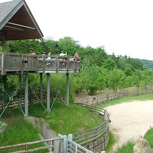 African Savannah viewing at Prague, 24/05/10