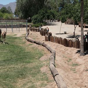 minimal giraffe barrier