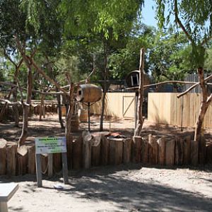 new exhibit construction