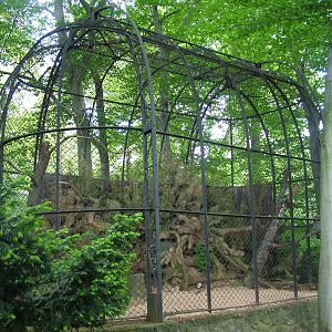 Owl aviary at Prague, 24/05/10