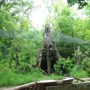 Owl aviary at Prague, 24/05/10