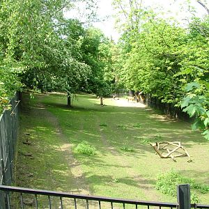 Pere David's Deer exhibit at Prague, 24/05/10