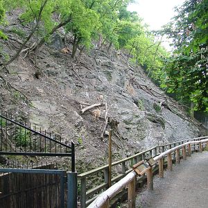 West Caucasian Tur exhibit at Prague, 24/05/10